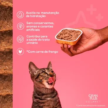 Gatos Adultos Pate Gourmet Carne 1